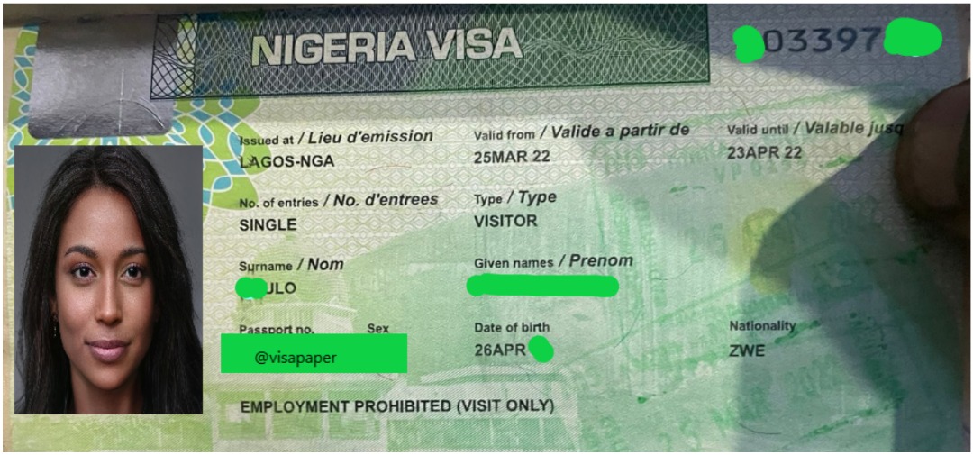 nigeria-visa-on-arrival-how-to-apply-online-visa-blog