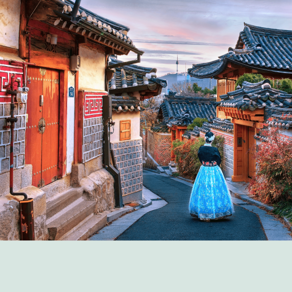 Visit South Korea with this e-Visa