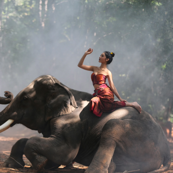Get a visa to Nepal
